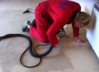 carpet cleaner hire